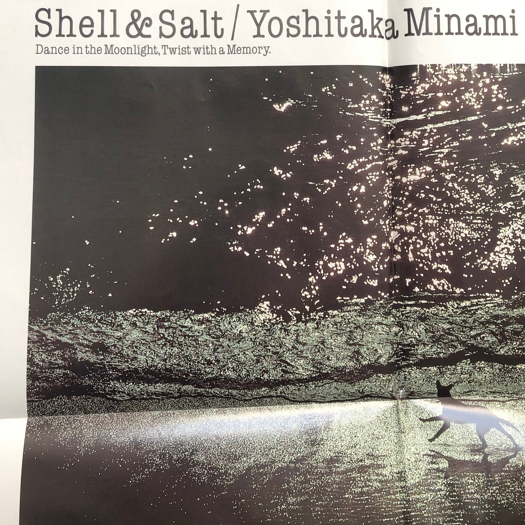 Yoshitaka Minami - "Shell & Salt - Dance in the Moonlight, Twist with a Memory.", 1982